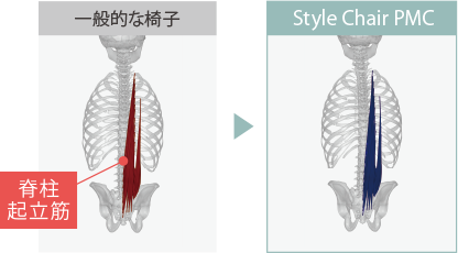 脊柱起立筋の筋活動の比較
